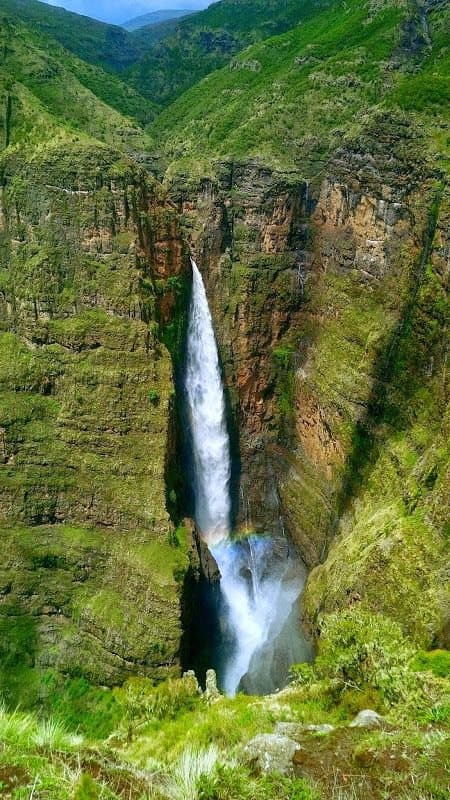 A tall waterfall plunging through a green Ethiopian highland canyon.