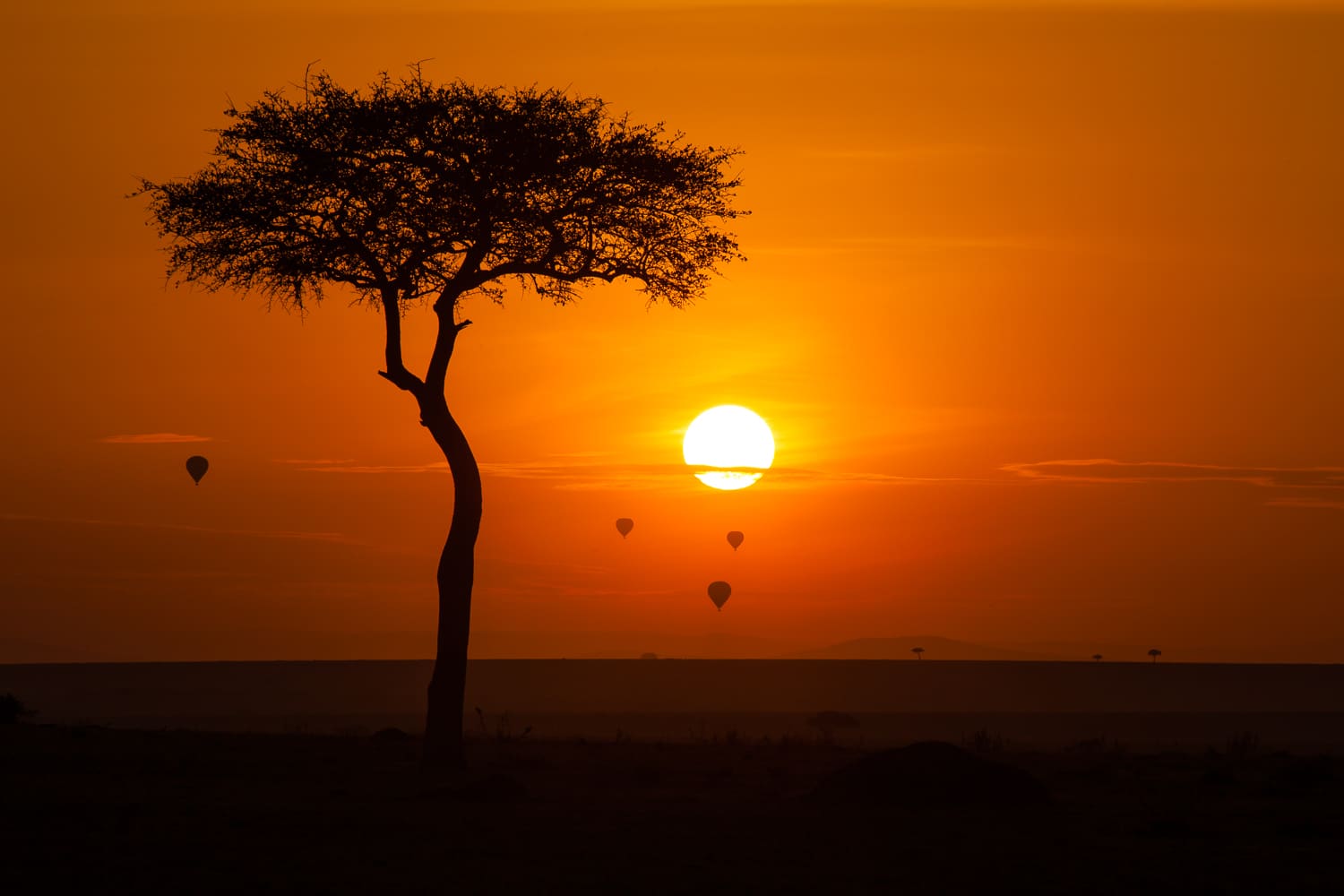 A wildebeest herd crossing the Tanzanian plains at dusk beneath Kilimanjaro's snow-capped peak.