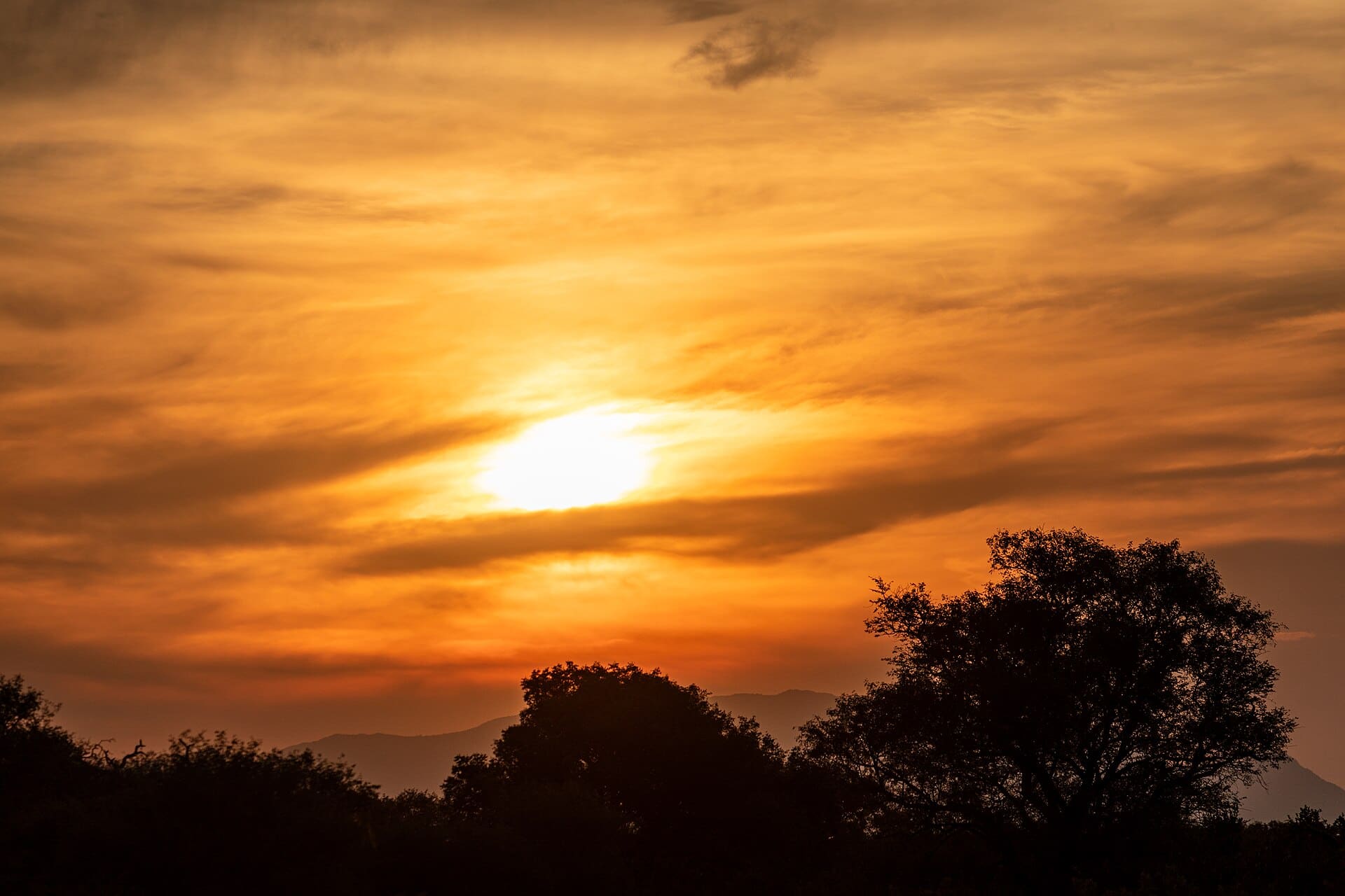 The sun setting over the savannah, trees silhouetted against a glowing orange sky.