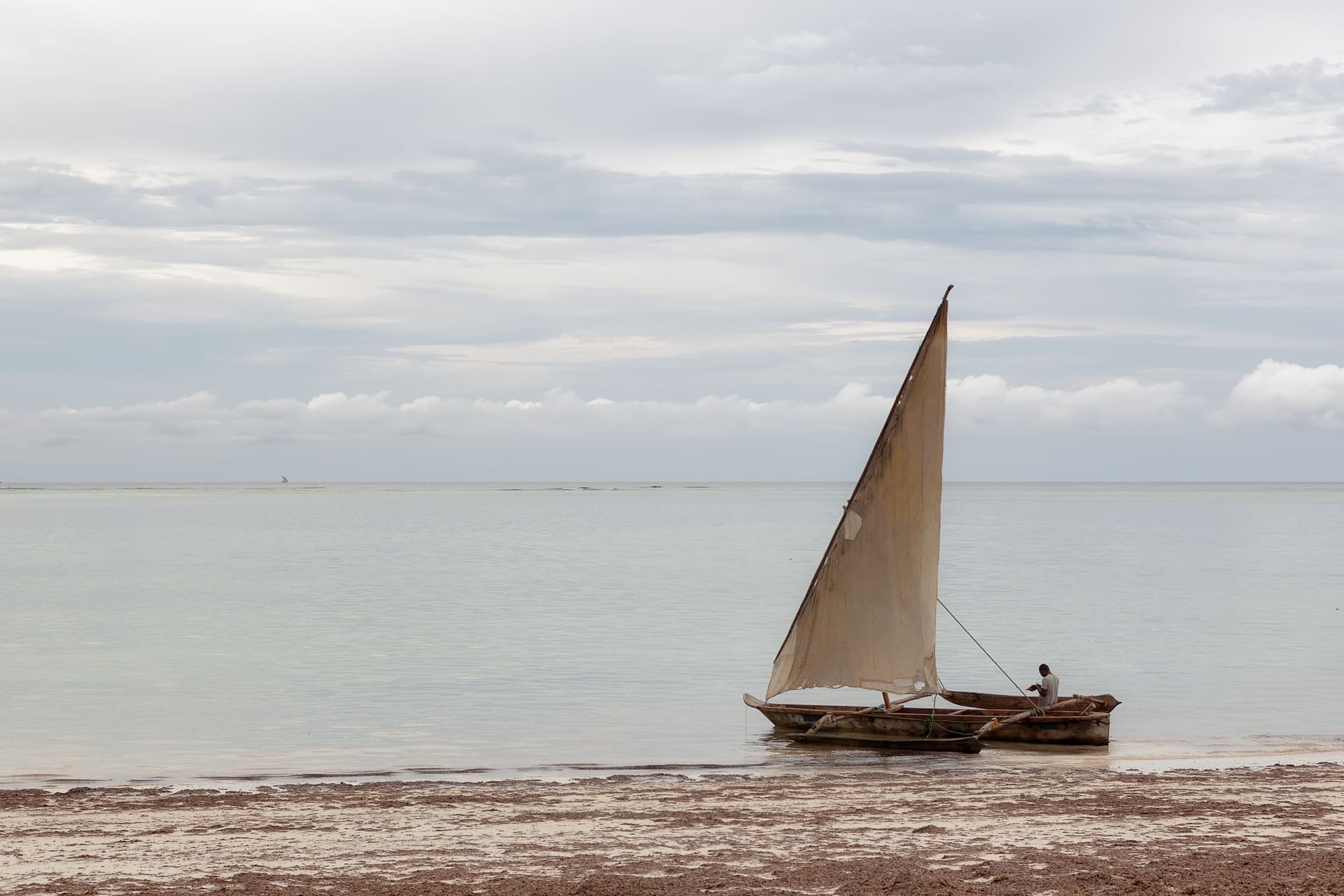 A dhow sailing past palm-lined coastline on the Indian Ocean at sunset.